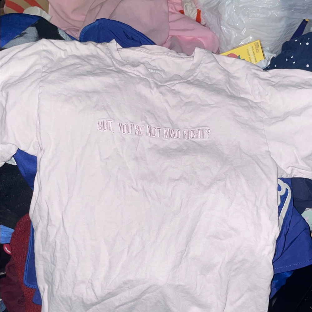 Evette Encounters Light Pink Graphic Tee with Embroidered Text
